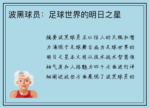 波黑球员：足球世界的明日之星